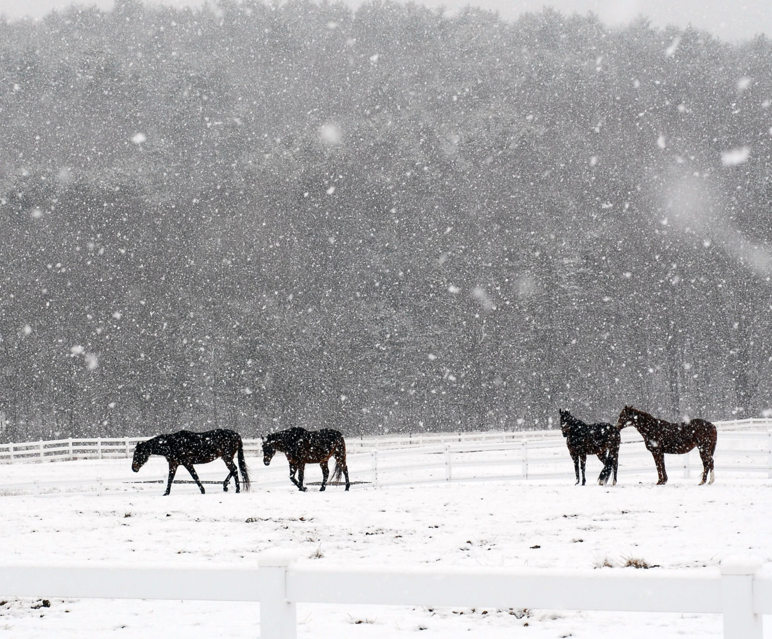 March snow